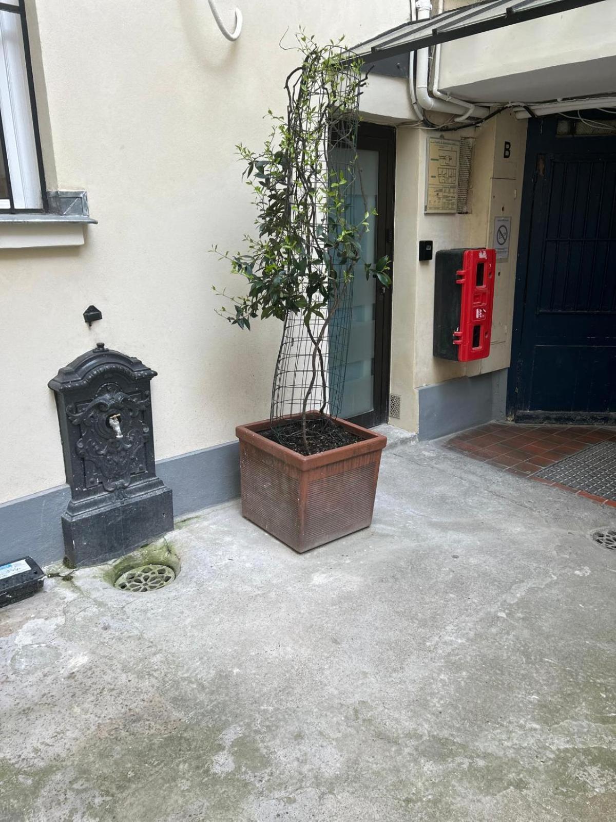 Joli Studio Rue De Nazareth Paris Eksteriør bilde